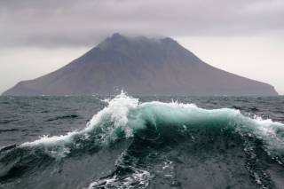 Олимлар глобал таҳдиддан хавотирда