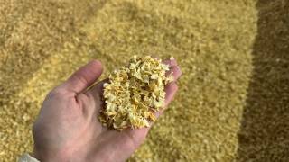 Пиёзни қайта ишлашда янги босқич