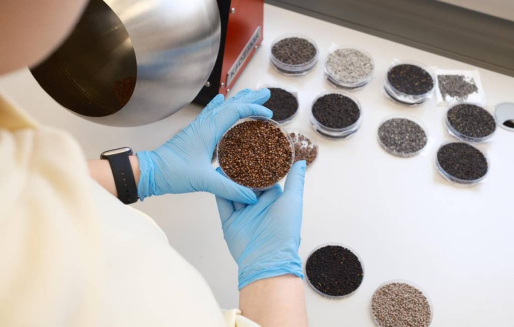 Ученые создали гель для увеличения всхожести семян