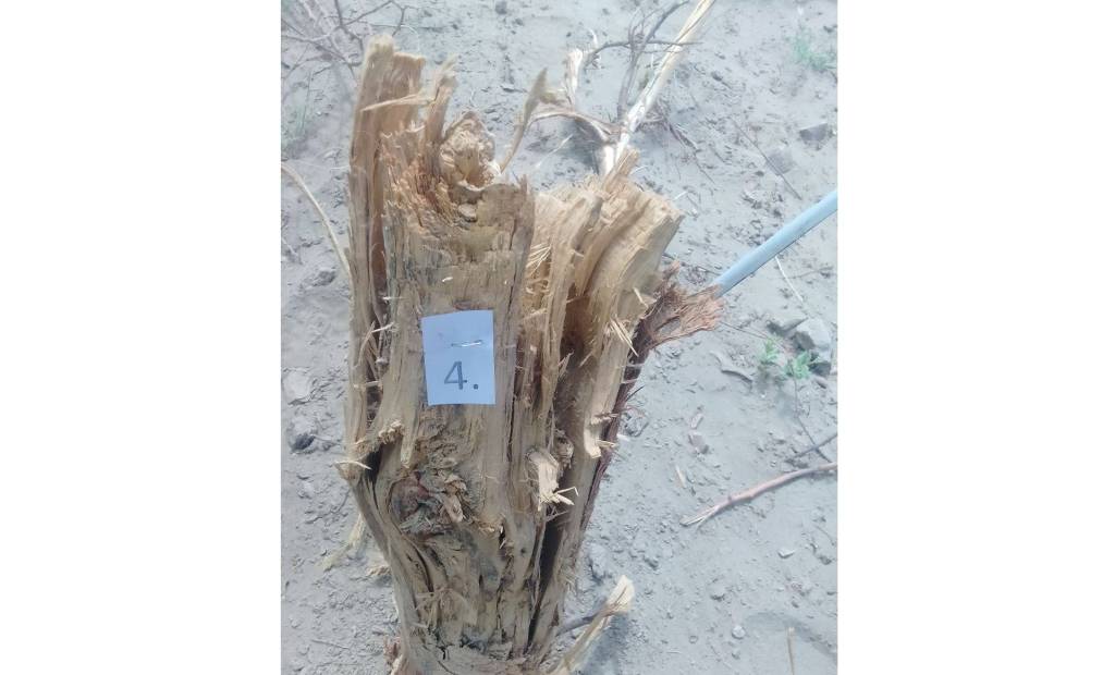 Табиатга етказилган зарар ундирилади