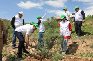 Депутатлар “35 йилга – 35 кўчат” акциясида иштирок этди