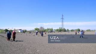 Олотда янги узумзор барпо этилди