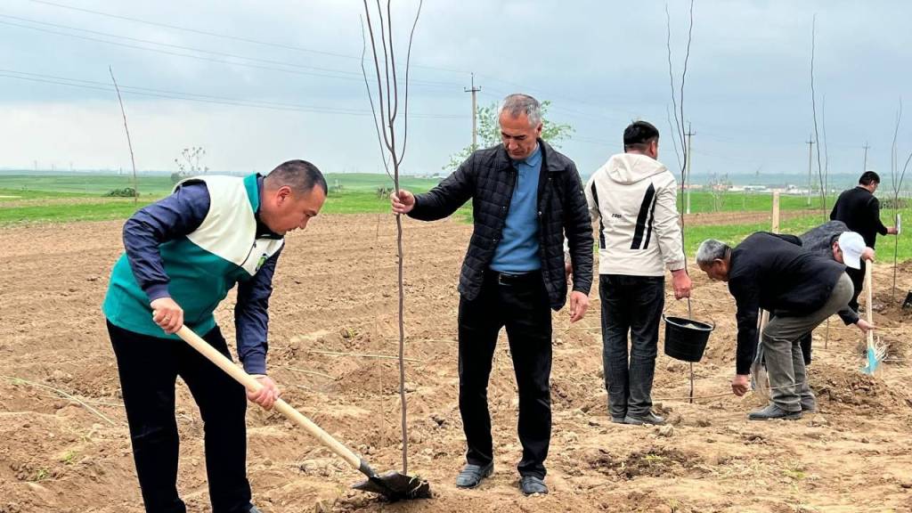 Ҳудудларда янги боғлар кўпаймоқда