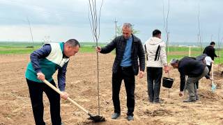 Ҳудудларда янги боғлар кўпаймоқда