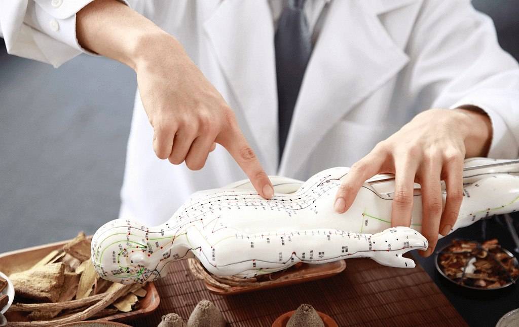 Xitoy tibbiyoti: an’ana va innovatsiya uyg‘unligi