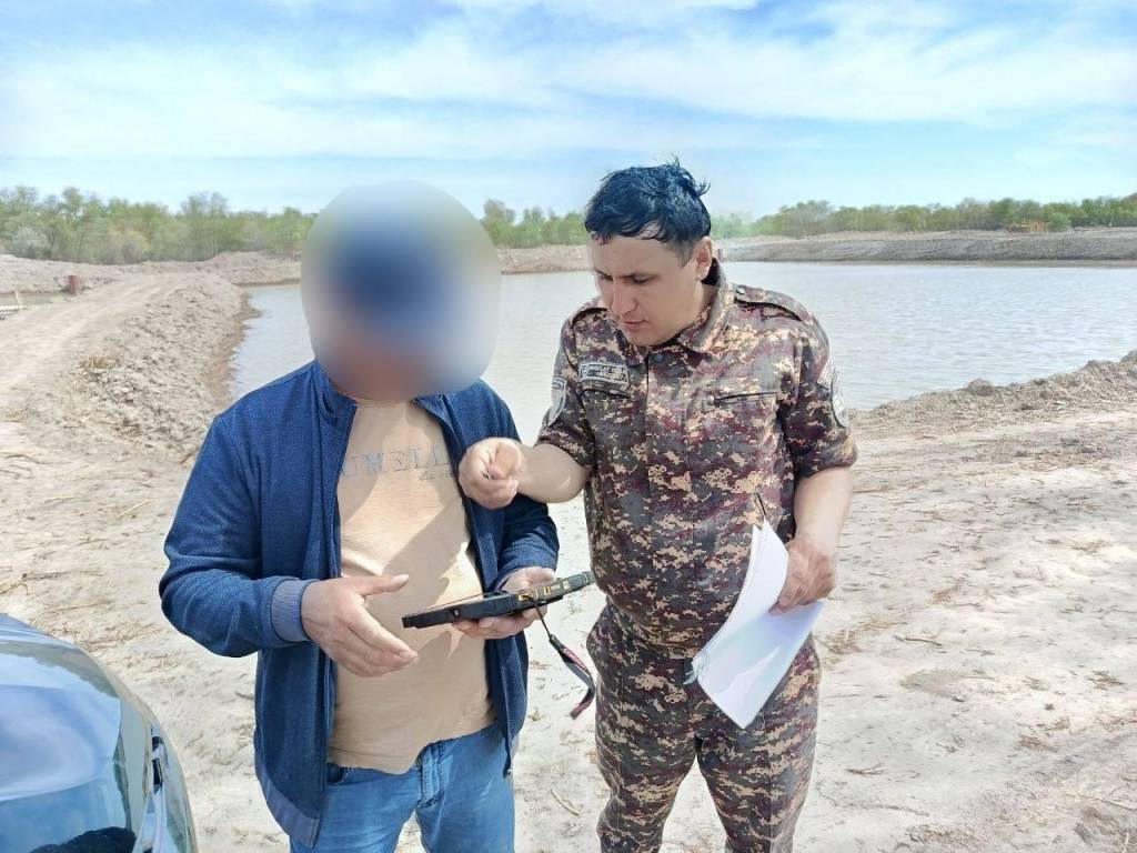 Daraxtga zarar yetkazgan fuqaro 10 mln so‘mdan ortiq jarimaga tortildi