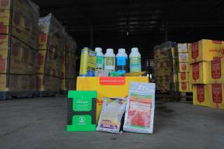 Ноқонуний юкларни яширишга уринишлар фош этилди