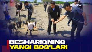 Бешариқнинг янги боғлари (+видео)