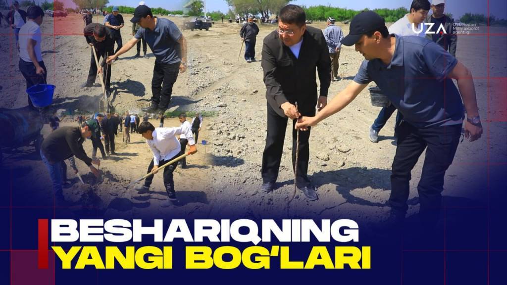 Новые сады Бешарыка