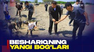 Новые сады Бешарыка