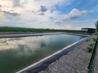 Сув тежалса, ҳосил кўпаяди