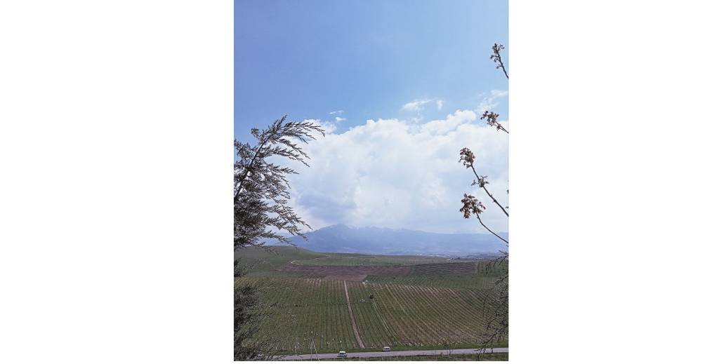 Паркентда бир кун