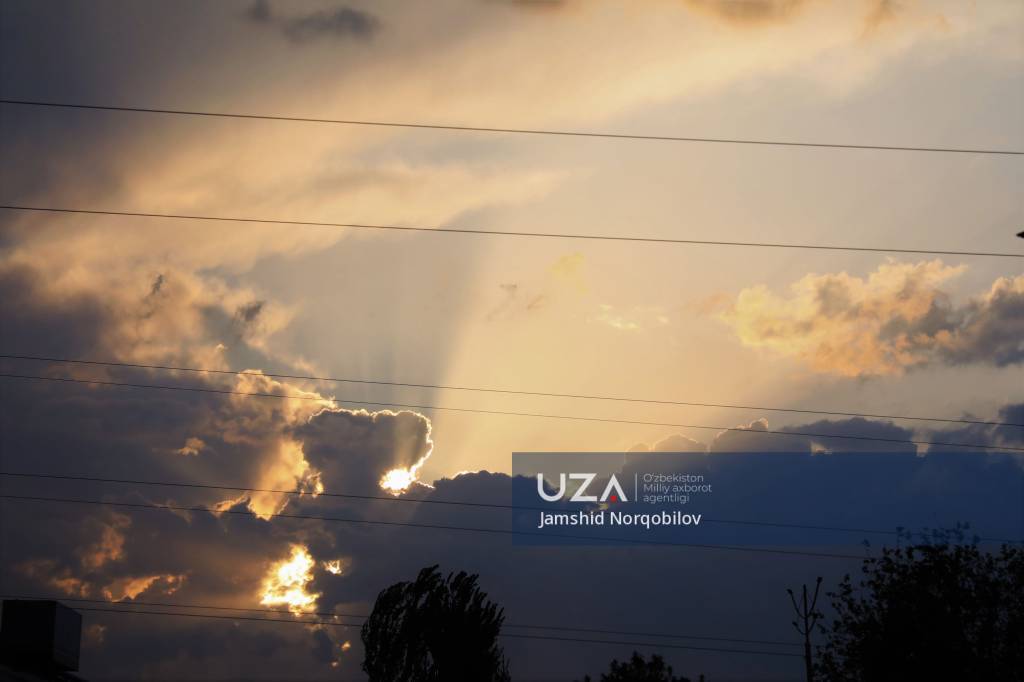 Қарши осмони: баҳорнинг етти ранги (+видео)