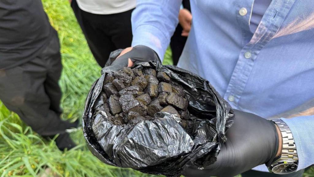 Спорт озуқаси капсулалари ичига яширилган синтетик наркотиклар фош этилди