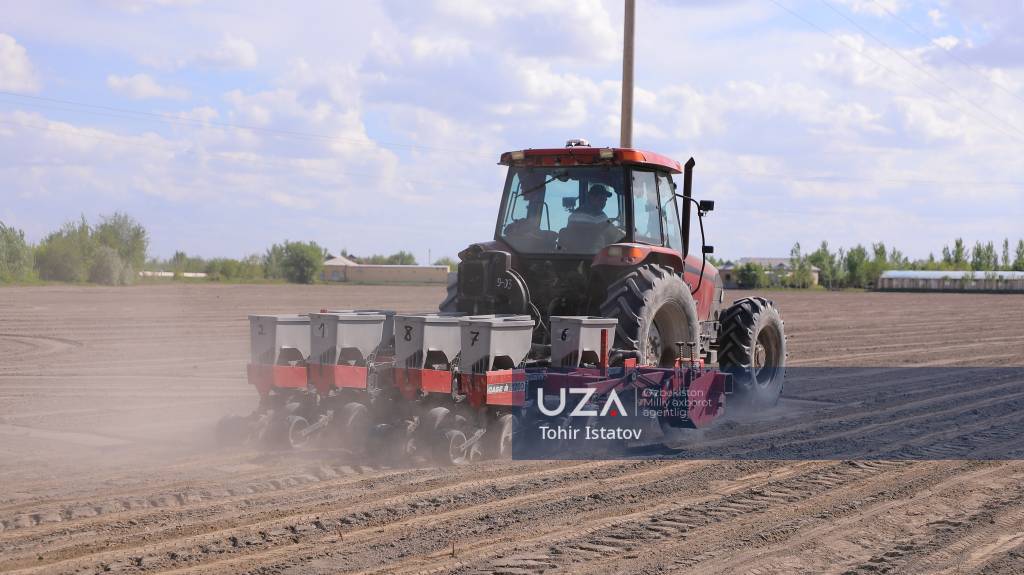 Чигит экиш ишлари жадал давом этмоқда