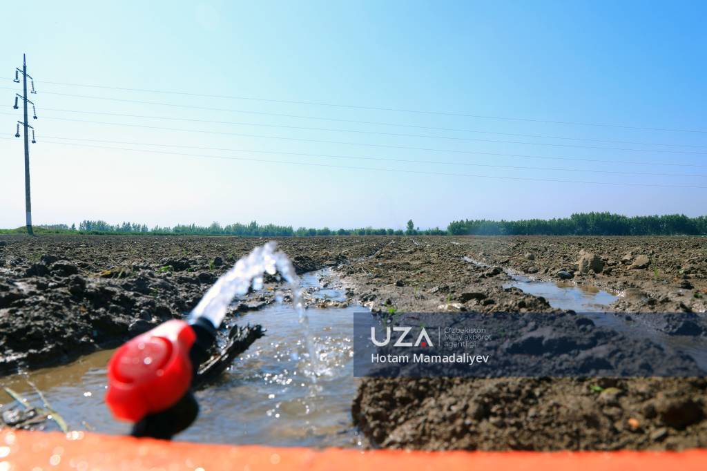 Қишлоқ хўжалигида ислоҳотлар самараси