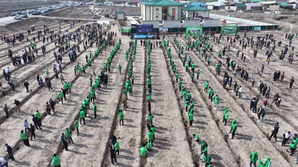 Экология ва атроф-муҳитни муҳофазаси доимий эътиборда