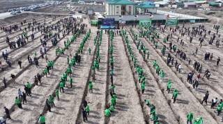 Экология ва атроф-муҳитни муҳофазаси доимий эътиборда