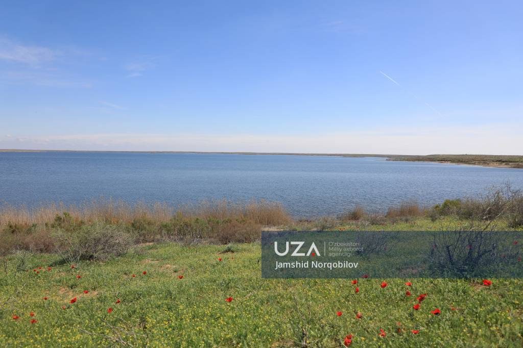 Achinko‘l – cho‘l bag‘ridagi achchiq suv, shirin umidlar maskani