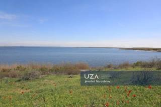 Ачинкўл – чўл бағридаги аччиқ сув, ширин умидлар маскани