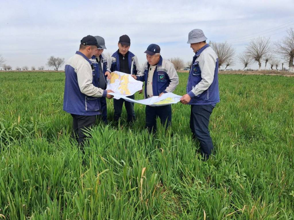 Тупроқ сифати ҳосил унумдорлигини белгилайди