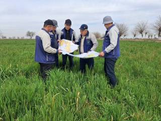 Тупроқ сифати ҳосил унумдорлигини белгилайди