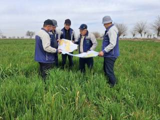 Качество почвы определяет урожайность