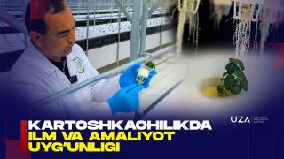 Картошкачиликда илм ва амалиёт уйғунлиги самараси (+видео)