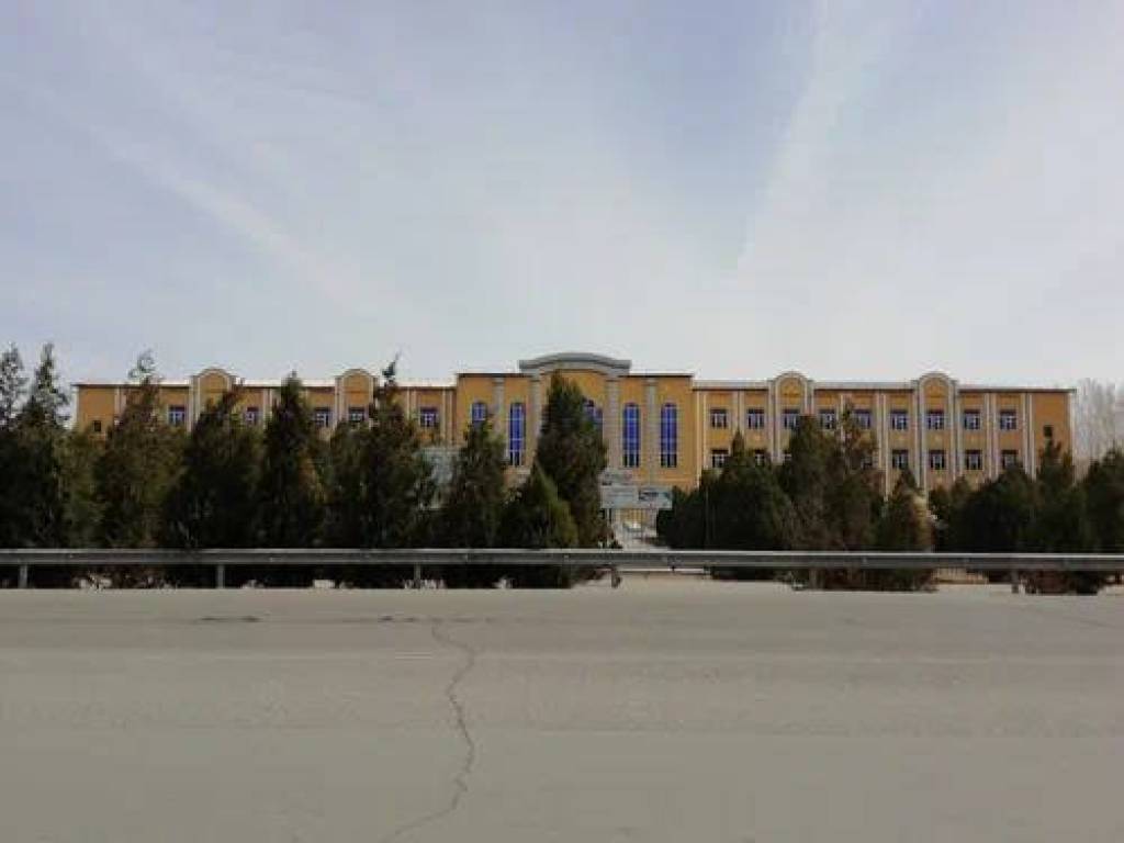 Reyting orqali raqobat: endi kuchli texnikumlar aniqlanadi