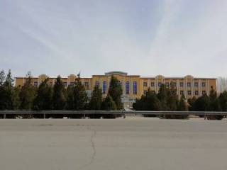 Reyting orqali raqobat: endi kuchli texnikumlar aniqlanadi