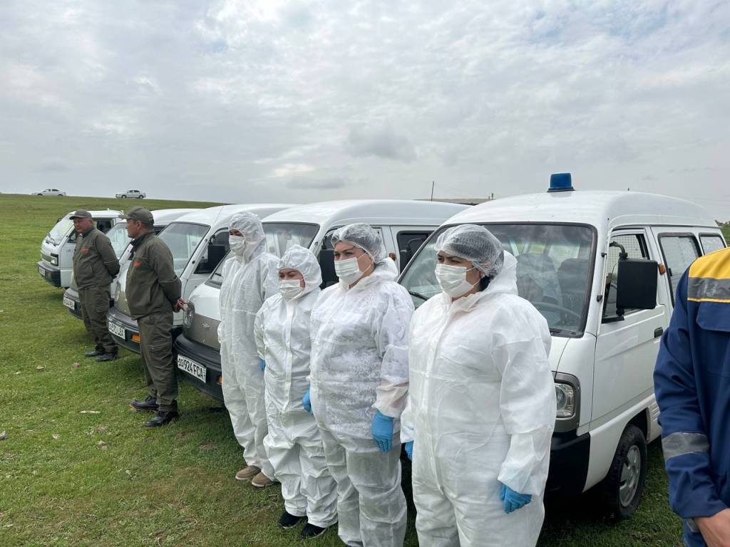 Зарарли чигирткаларга қарши долзарб кураш давом этмоқда