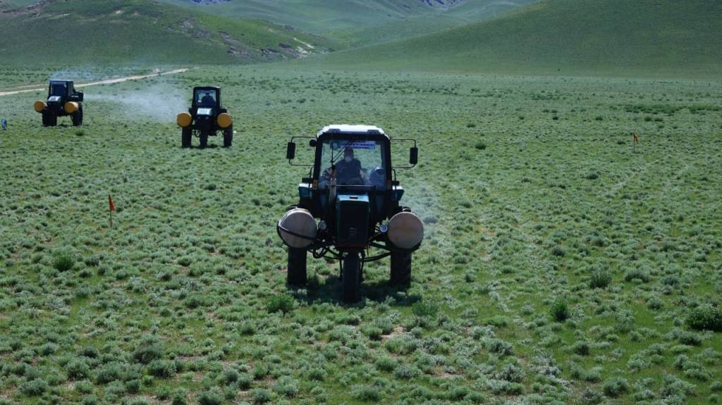 Chigirtkalarga qarshi kurashish dolzarb masala