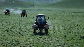 Chigirtkalarga qarshi kurashish dolzarb masala