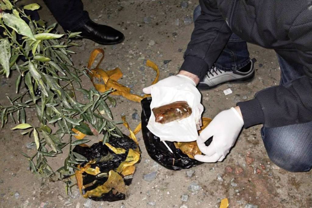 Limon ko‘chati tomiriga yashirilgan “opiy”