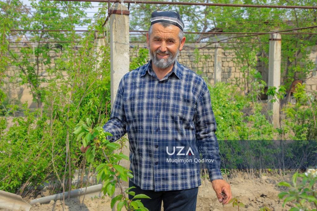 Oltiariqlik bog‘bonning innovatsion tajribasi