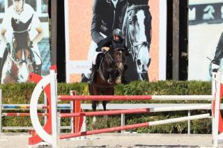 Дунё чавандозлари Тошкентда жам бўлади