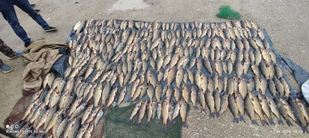 Қорақир сув ҳавзасида ноқонуний ов