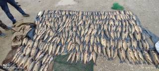 Қорақир сув ҳавзасида ноқонуний ов