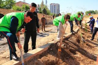 Ободлик ва яшиллик сари муҳим ташаббус