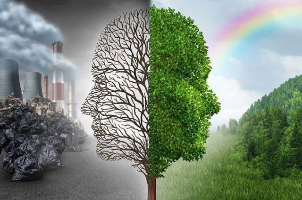 Чўлланишга қарши кураш: Ўзбекистон экологик таҳдидга илм билан жавоб бермоқда