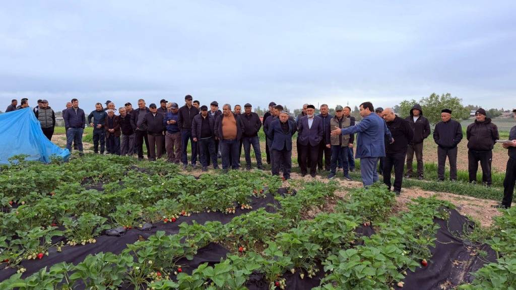 Қишлоқ хўжалигида инновацион ислоҳотлар оммалашмоқда