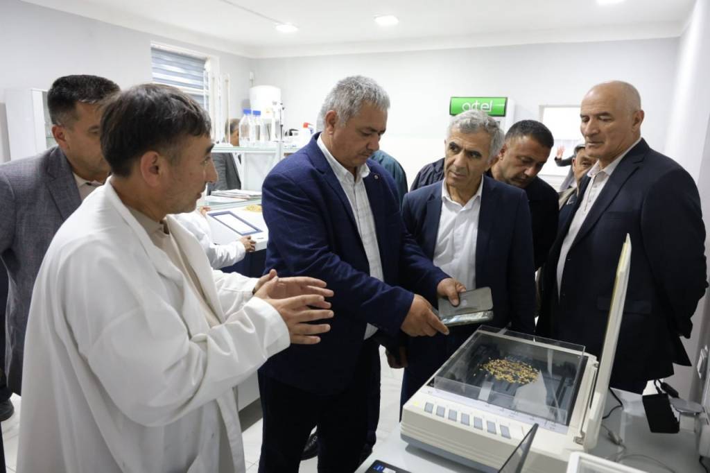 Шоличиликни ривожлантиришда илмий ҳамкорликнинг ўрни ортиб бормоқда