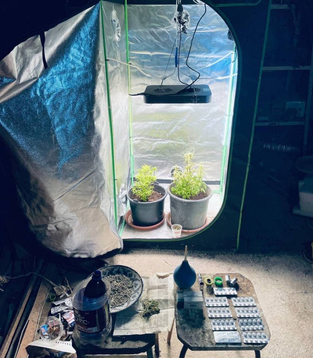 Гиёҳвандлик: келажакни асраш йўлидаги муҳим вазифа