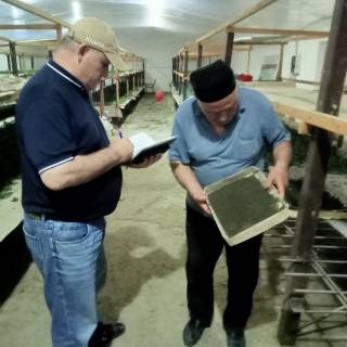 Ипак қурти парваришлаш мавсуми назоратда