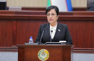 Устанавливается ответственность за предоставление Омбудсману ложной информации