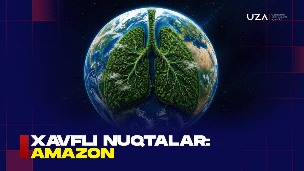 Хавфли нуқталар: Aмазон (+видео)