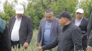 Қишлоқ хўжалиги ва чорвачиликда самарадорлик сари