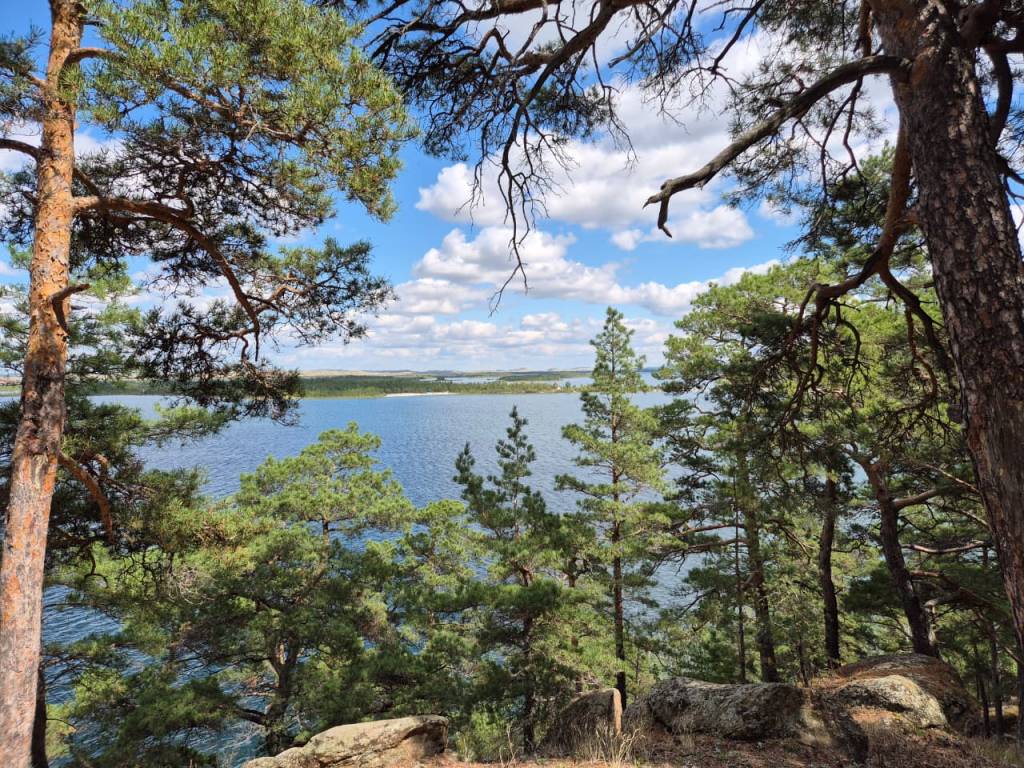 Станет ли Казахстан «зеленой лабораторией» для планеты?