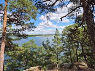 Станет ли Казахстан «зеленой лабораторией» для планеты?