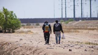 2025-yilda qariyb 8 ming muhojir “g‘oyib bo‘ldi”